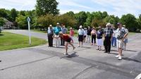 Irish Road Bowling