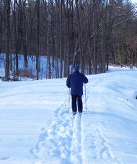 Cross Country Skiing at Laurel Lake