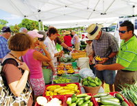 Hudson Farmers Market